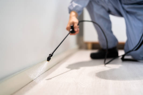 Licensed Pest Control service in Janesville, WI - Show Me Pest Control